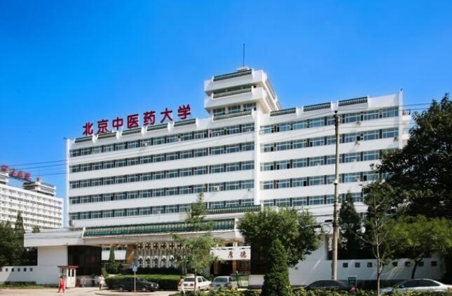 案例展示